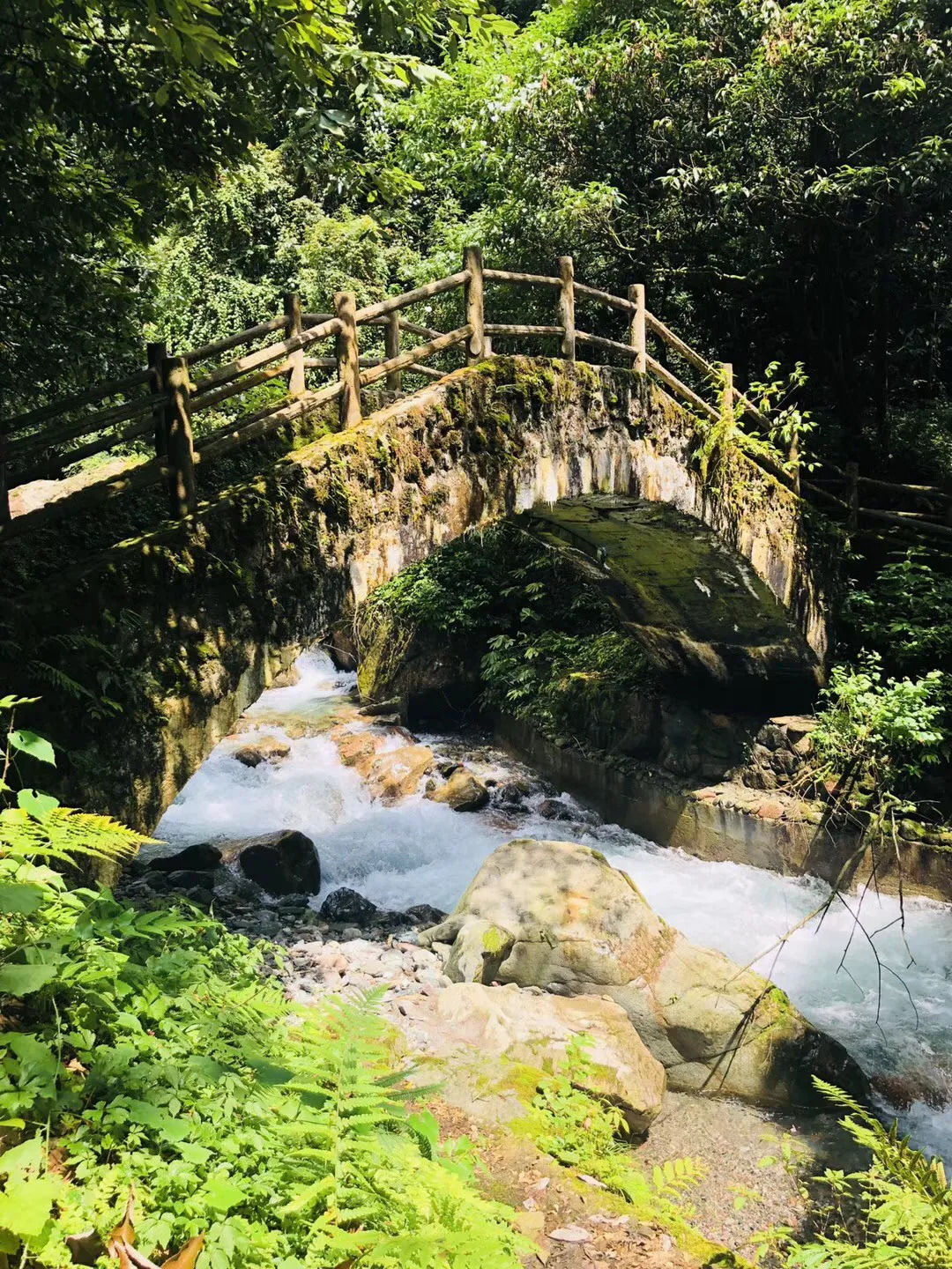 动物拼一拼
